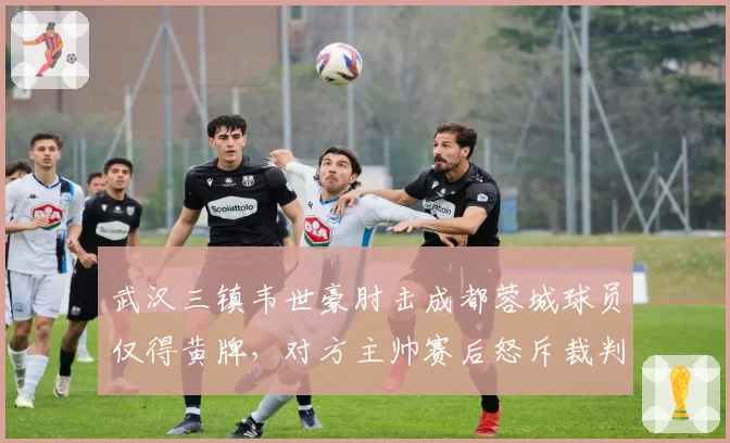 武汉三镇韦世豪肘击成都蓉城球员仅得黄牌，对方主帅赛后怒斥裁判尺度