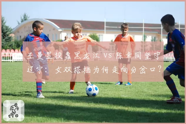 王曼昱投靠黑龙江 vs 陈幸同坚守辽宁：女双搭档为何走向分岔口？