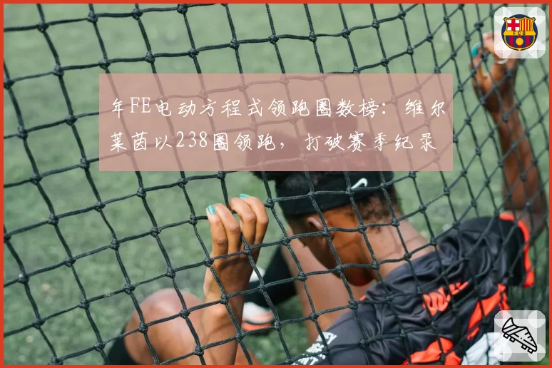 年FE电动方程式领跑圈数榜：维尔莱茵以238圈领跑，打破赛季纪录