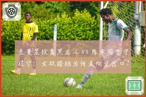 王曼昱投靠黑龙江 vs 陈幸同坚守辽宁：女双搭档为何走向分岔口？
